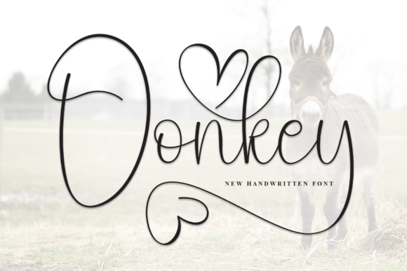 Donkey: The Handwritten Font with a Friendly, Modern Vibe
