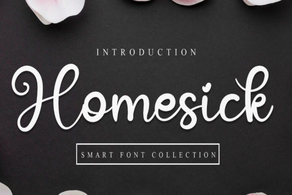 Homesick: The Elegant Script Font for Modern Creatives